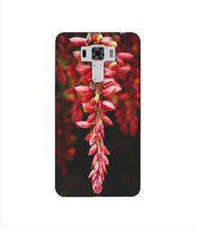 Amazon Brand - Solimo Designer Flowers Photograpy 3D Printed Hard Back Case Mobile Cover for Asus Zenfone 3 Laser ZC551KL