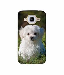 Amazon Brand - Solimo Designer White Dog UV Printed Soft Back Case Mobile Cover for Samsung Galaxy J2 (2016)