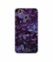 Amazon Brand - Solimo Designer Purple Flowers UV Printed Soft Back Case Mobile Cover for Lyf Water 7S