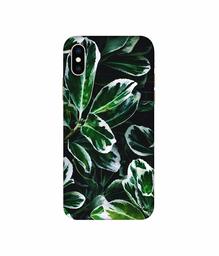 Amazon Brand - Solimo Designer Leaf Imperation 3D Printed Hard Back Case Mobile Cover for Apple iPhone Xs Max