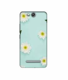 Amazon Brand - Solimo Designer Flower Texture 3D Printed Hard Back Case Mobile Cover for Micromax Canvas Juice 3 Q392