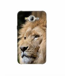 Amazon Brand - Solimo Designer Lion 3D Printed Hard Back Case Mobile Cover for Samsung Galaxy J2 (2016)