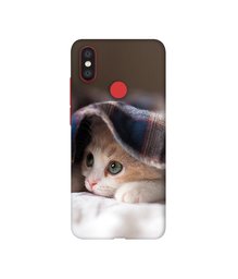 Amazon Brand - Solimo Designer Sleepy Kitten 3D Printed Hard Back Case Mobile Cover for Mi A2