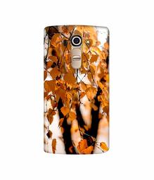 Amazon Brand - Solimo Designer Autumn Photography 3D Printed Hard Back Case Mobile Cover for LG G4