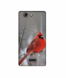 Amazon Brand - Solimo Designer Red Engry Bird 3D Printed Hard Back Case Mobile Cover for Micromax Canvas Nitro 2 E311