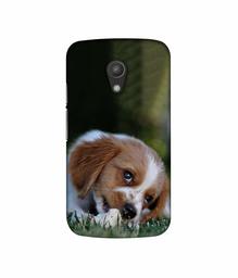 Amazon Brand - Solimo Designer Cute Puppy 3D Printed Hard Back Case Mobile Cover for Motorola Moto G 2nd Generation