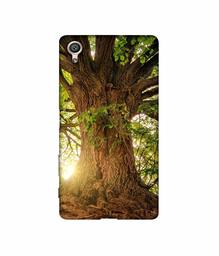 Amazon Brand - Solimo Designer Tree Trunk 3D Printed Hard Back Case Mobile Cover for Sony Xperia X