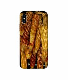 Amazon Brand - Solimo Designer Corns 3D Printed Hard Back Case Mobile Cover for Apple iPhone Xs Max