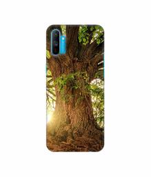 Amazon Brand - Solimo Designer Tree Trunk 3D Printed Hard Back Case Mobile Cover for Realme C3