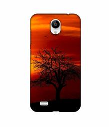 Amazon Brand - Solimo Designer Nature View 3D Printed Hard Back Case Mobile Cover for Vivo Y21L