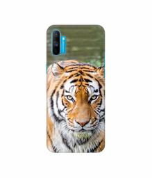 Amazon Brand - Solimo Designer Tiger in Water 3D Printed Hard Back Case Mobile Cover for Realme C3