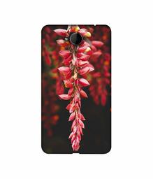 Amazon Brand - Solimo Designer Flowers Photograpy 3D Printed Hard Back Case Mobile Cover for Microsoft Lumia 650