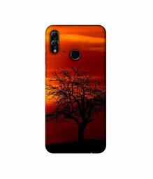 Amazon Brand - Solimo Designer Nature View 3D Printed Hard Back Case Mobile Cover for Honor 10 Lite