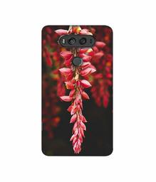 Amazon Brand - Solimo Designer Flowers Photograpy 3D Printed Hard Back Case Mobile Cover for LG V20