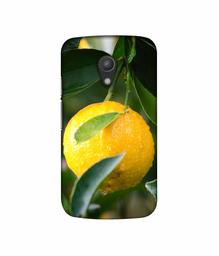 Amazon Brand - Solimo Designer Lemon 3D Printed Hard Back Case Mobile Cover for Motorola Moto G 2nd Generation