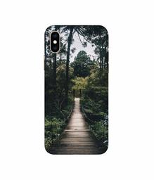 Amazon Brand - Solimo Designer Wooden Bridge 3D Printed Hard Back Case Mobile Cover for Apple iPhone Xs Max