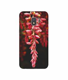 Amazon Brand - Solimo Designer Flowers Photograpy 3D Printed Hard Back Case Mobile Cover for Samsung Galaxy J2 Core