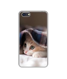 Amazon Brand - Solimo Designer Sleepy Kitten UV Printed Soft Back Case Mobile Cover for Oppo A71