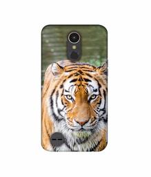 Amazon Brand - Solimo Designer Tiger in Water 3D Printed Hard Back Case Mobile Cover for LG K10 (2017)