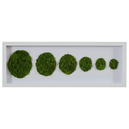 Amazon Brand – Rivet Preserved Green Moss Circles Wall Art in White Frame, 30